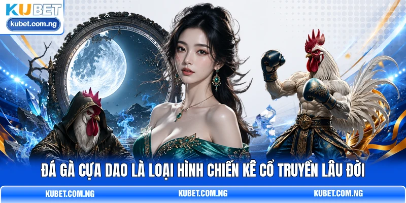 Đá Gà Cựa Dao là loại hình chiến kê cổ truyền lâu đời Đá Gà Cựa Dao là loại hình chiến kê cổ truyền lâu đời